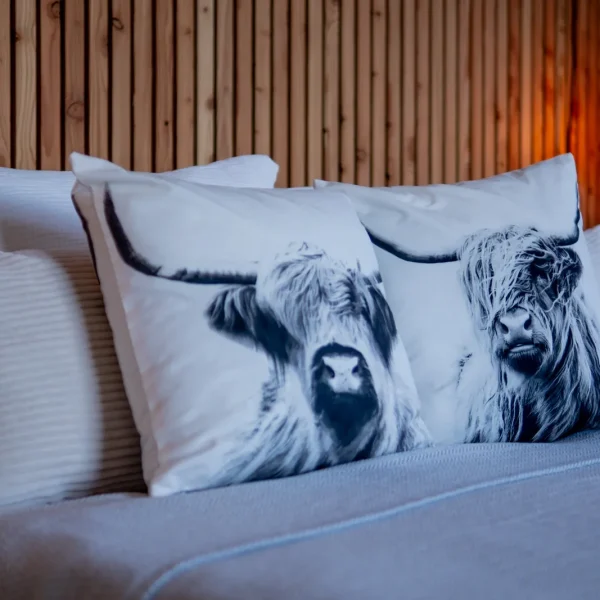 dietrichkuehne_DSCF5458